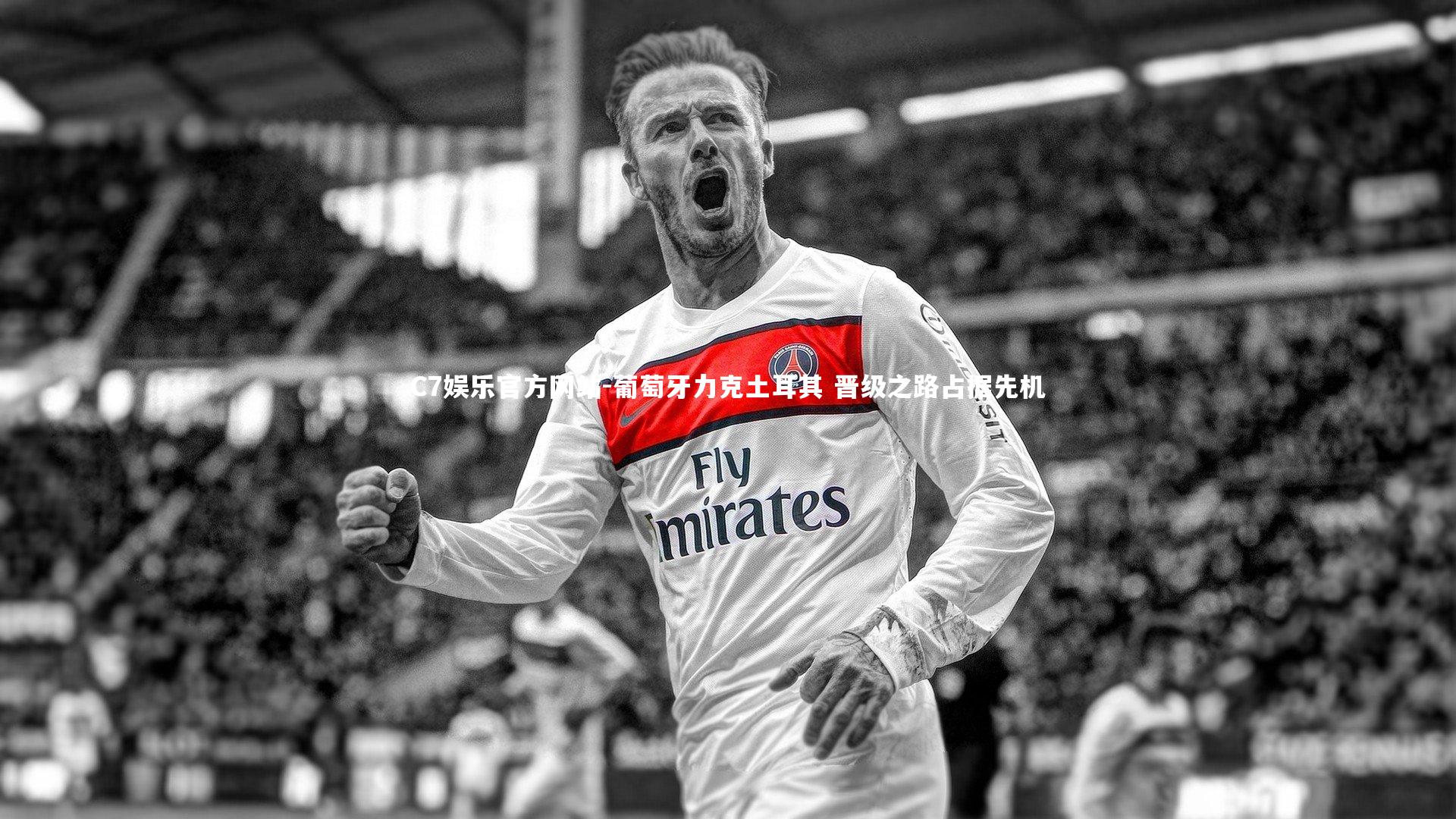 葡萄牙力克土耳其 晋级之路占据先机